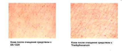 INCI: Dibutyloctyl Sebacate