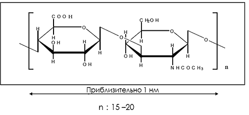 Hyalo-Oligo. Низкомолекулярная гиалуроновая кислота