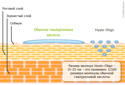 Hyalo-Oligo