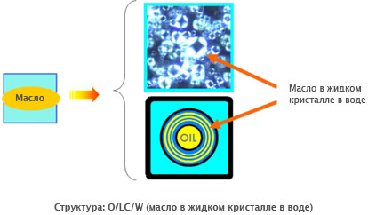 nikkomulese-lc-o-lc-w