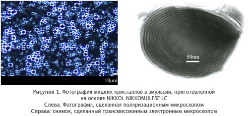 nikkomulese-lc-ris1